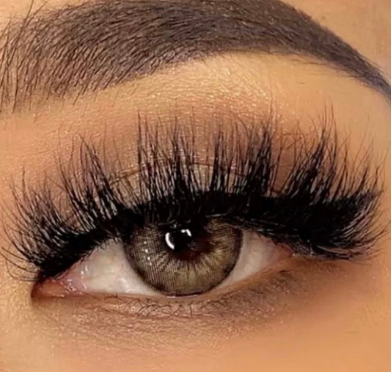 Lash Bundle