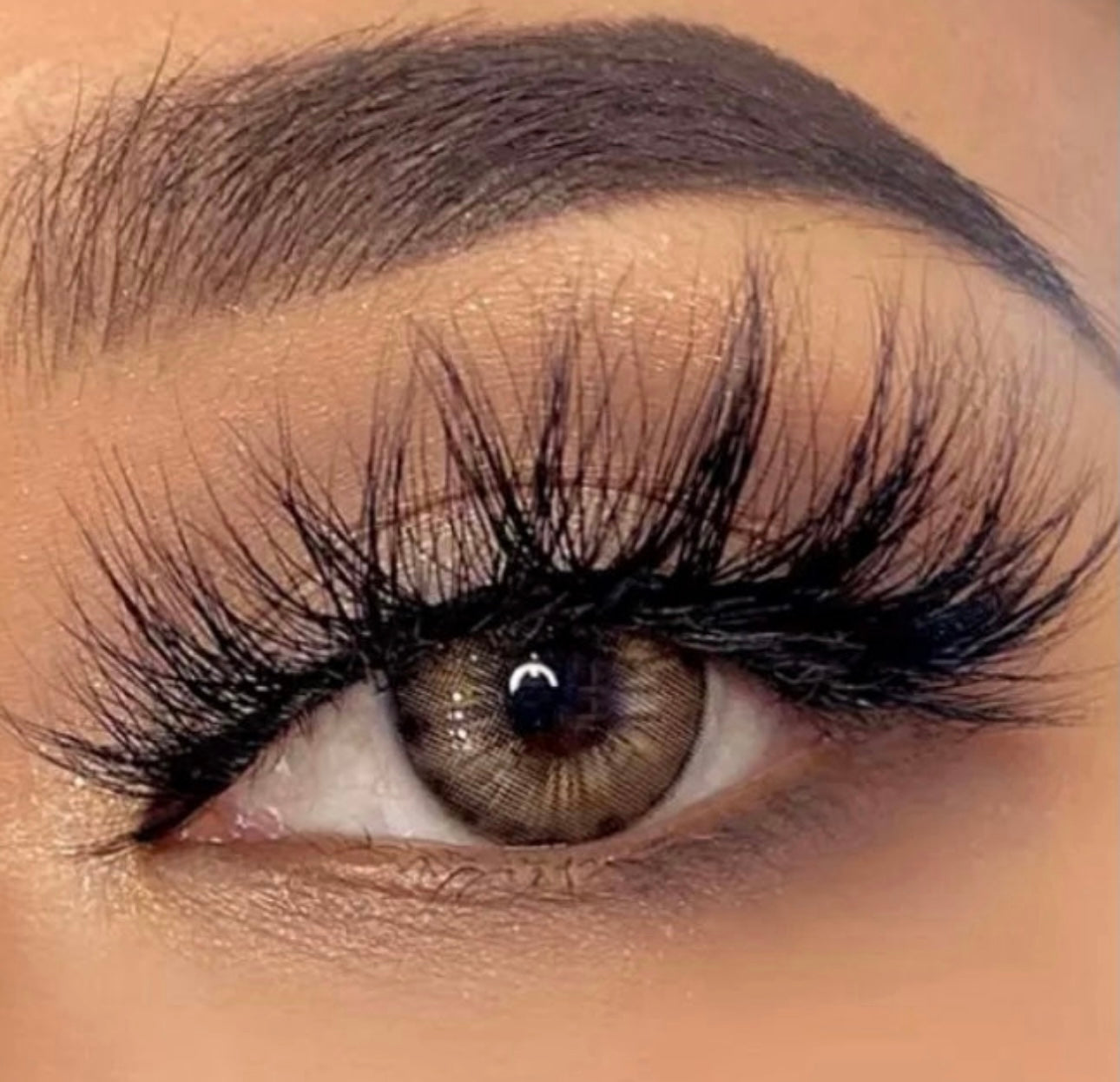 Lash Bundle