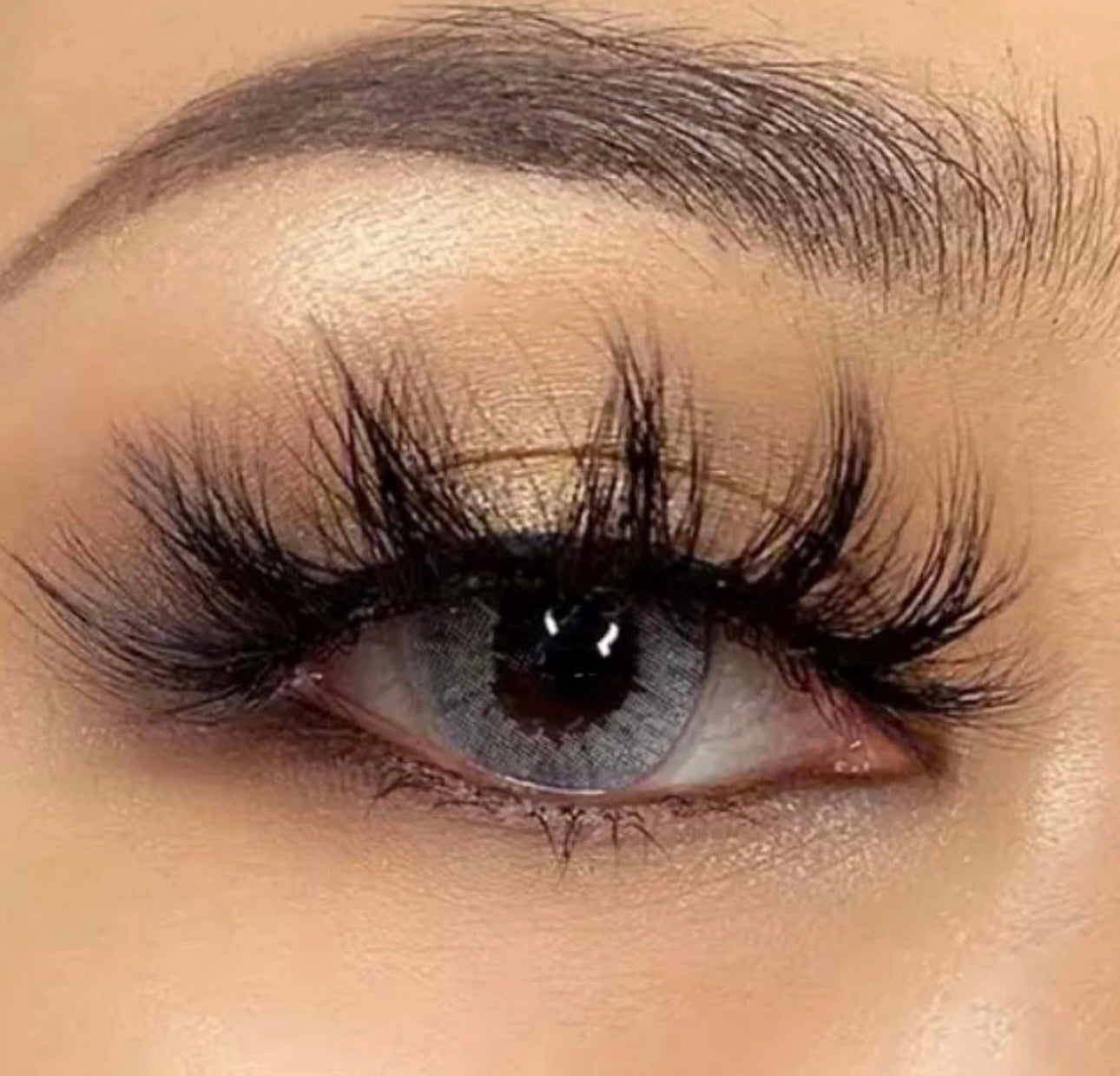 Lash Bundle